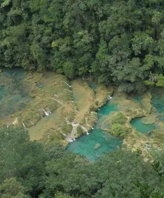 Im türkisfarbenen Wasser von Semuc Champey schwimmen gehen